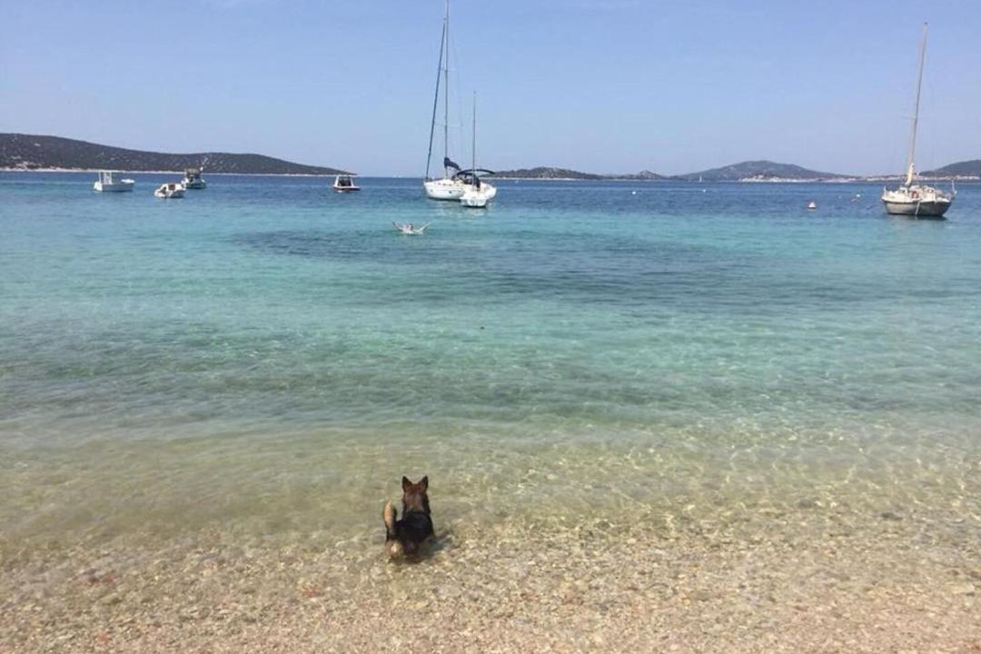 Photo of Others in Prvic Luka