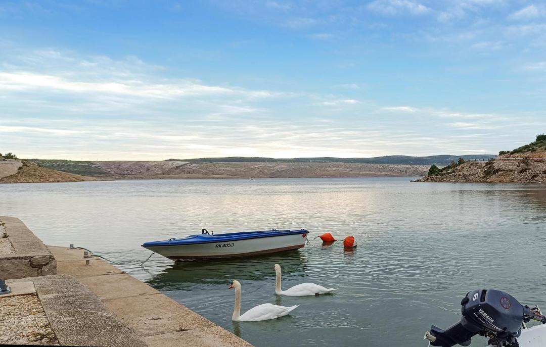 Photo of Others in Croatian Coast