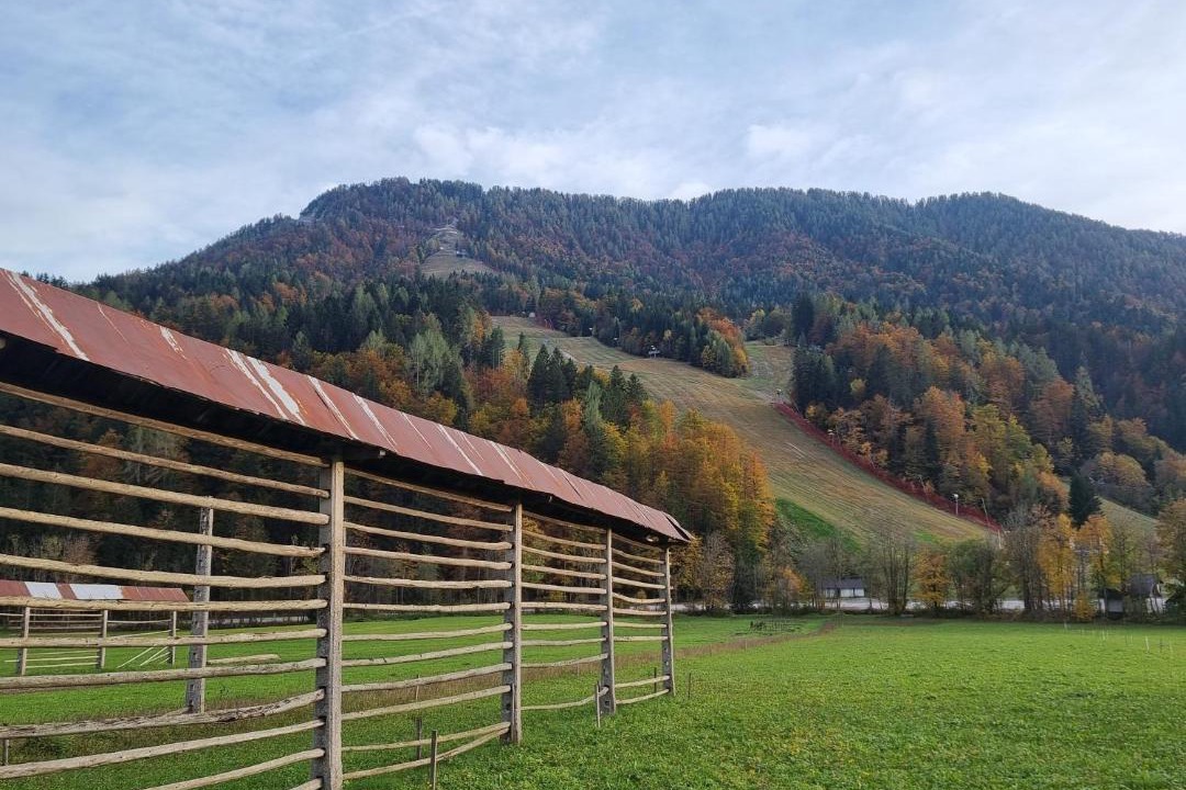 Photo of Others in Podkoren