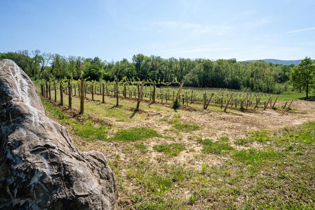 Photo of Others in Ajdovscina