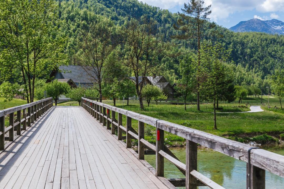 Photo of Others in Bohinj