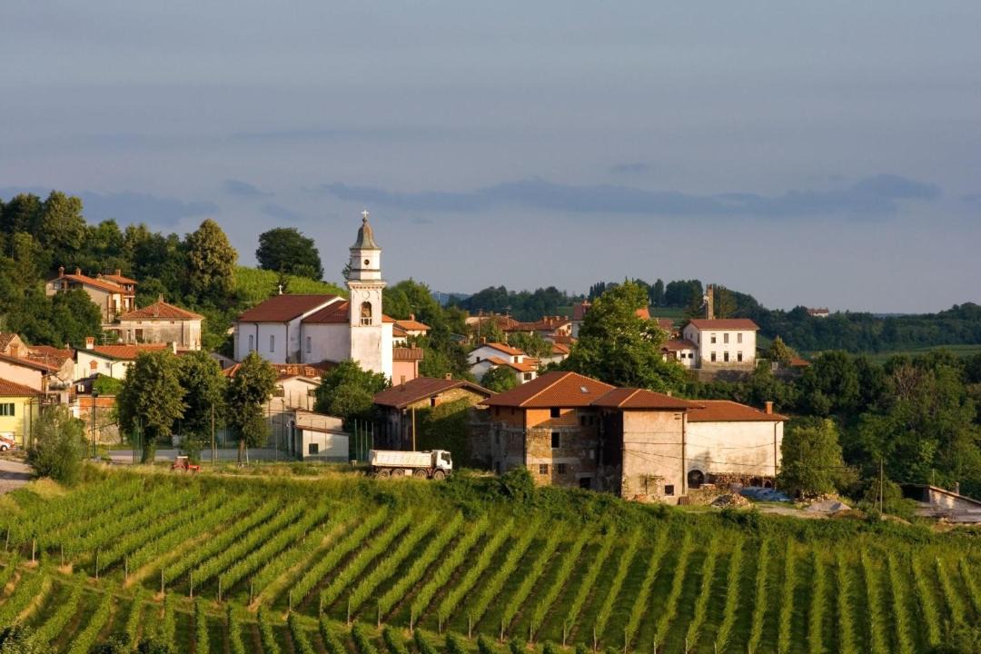 Photo of Others in Brda