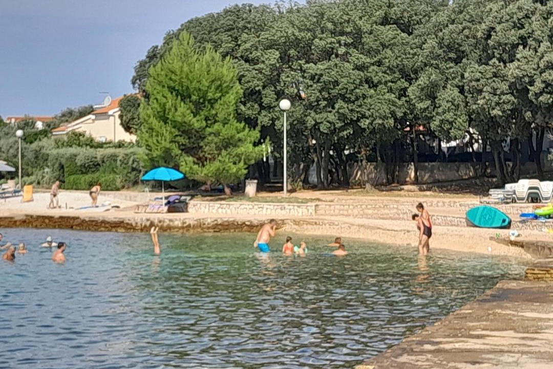 Photo of Others in Petrcane