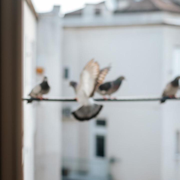 Photo of Others in Zagreb