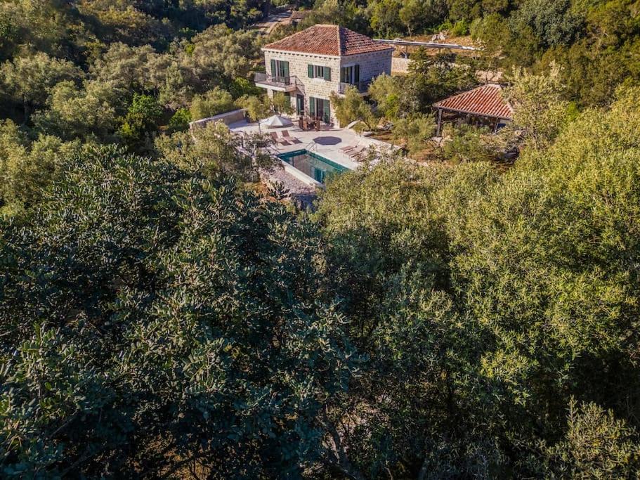 Photo of Others in Mljet