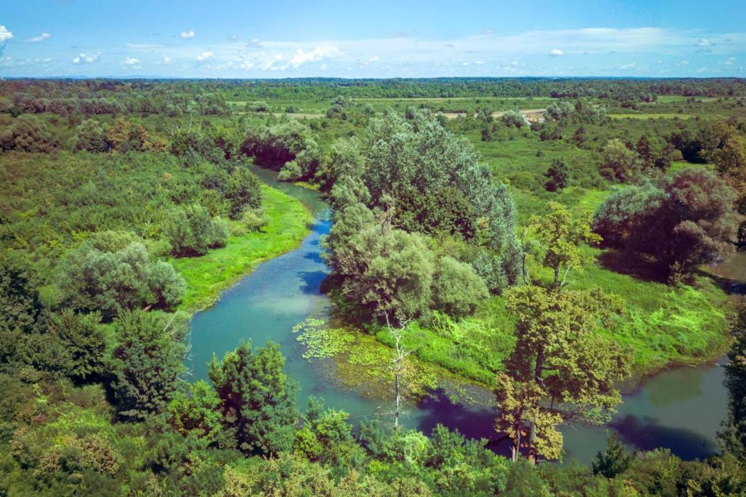 Photo of Others in Kravarsko