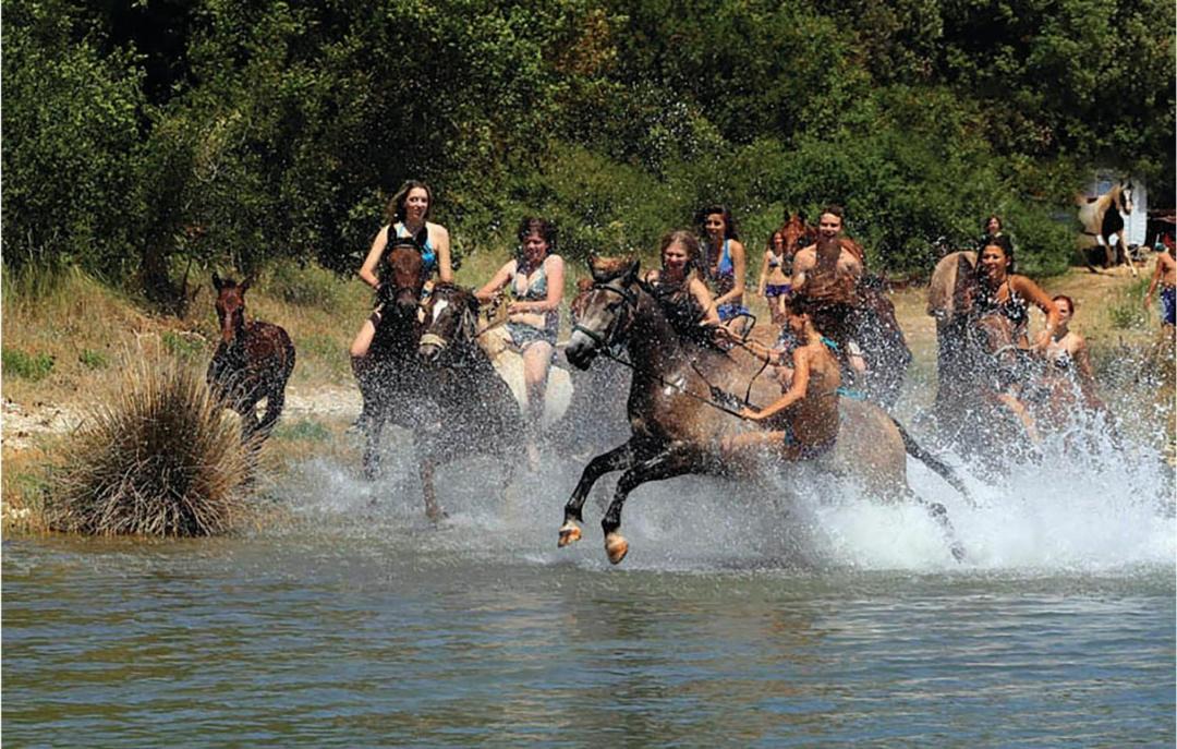 Photo of Others in Hrboki