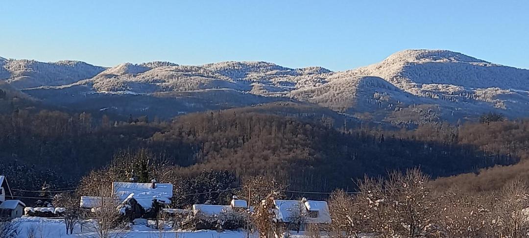 Photo of Others in Brod Moravice