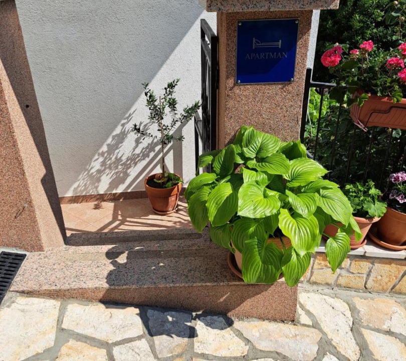 Photo of Others in Bribir