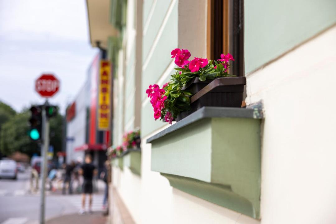 Photo of Others in Varazdin