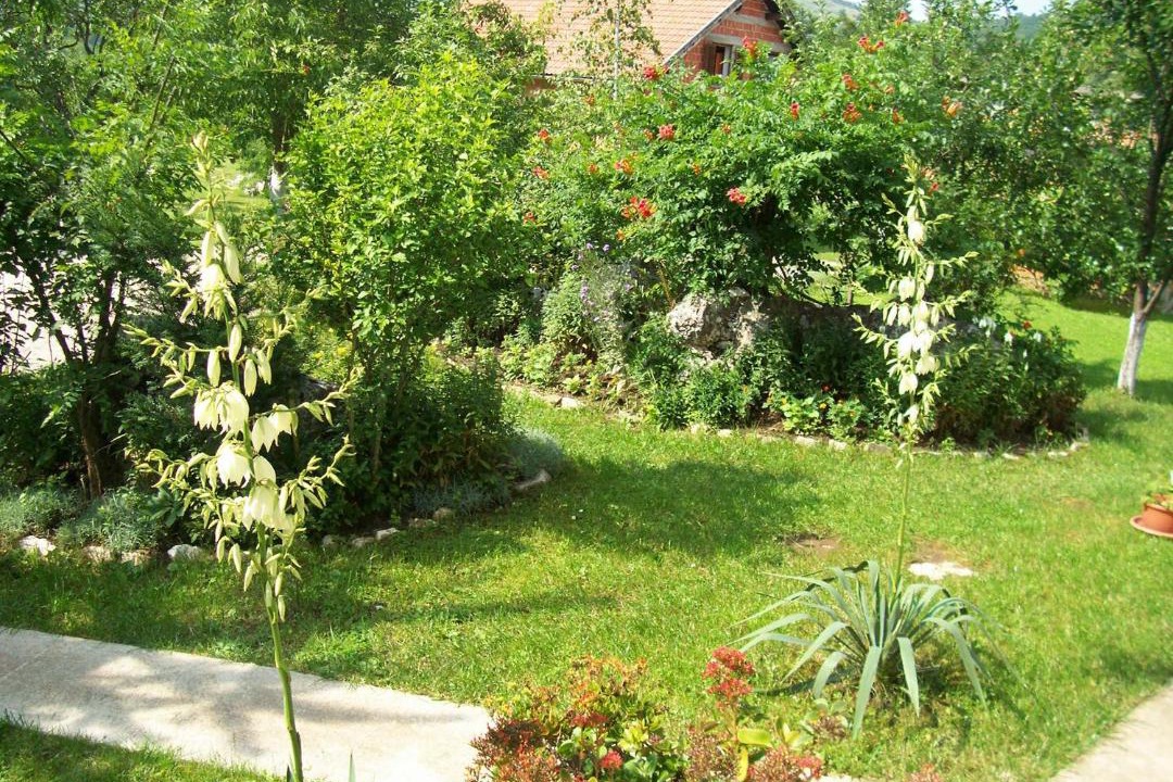 Photo of Others in Seliste Dreznicko