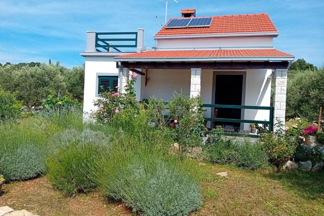 Photo of Others in Vela Luka