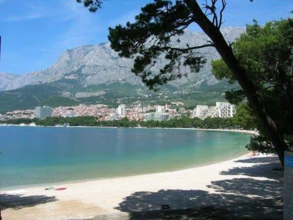 Photo of Others in Donja luka