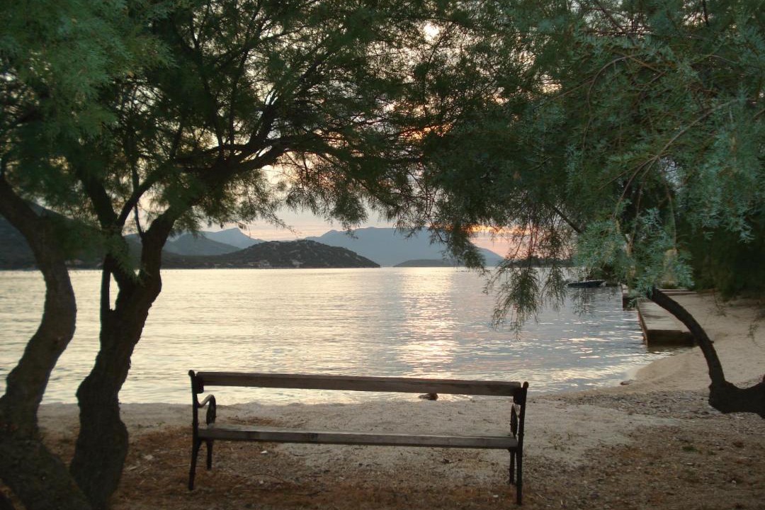 Photo of Others in Brijesta