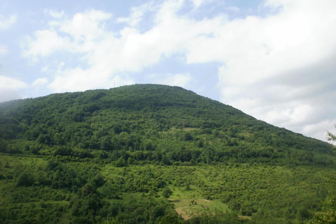 Photo of Others in Korana