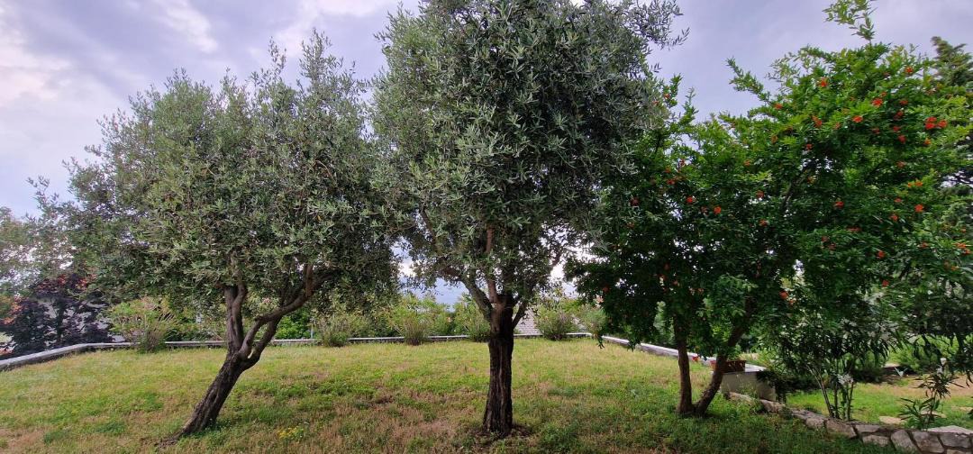 Photo of Others in Novi Vinodolski