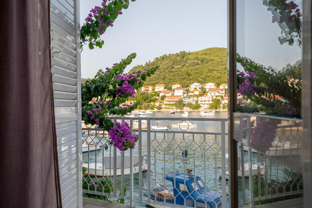 Photo of Others in Brna