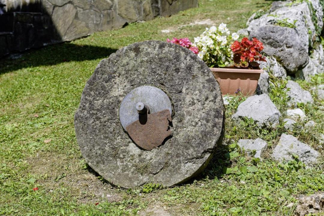 Photo of Others in Presika