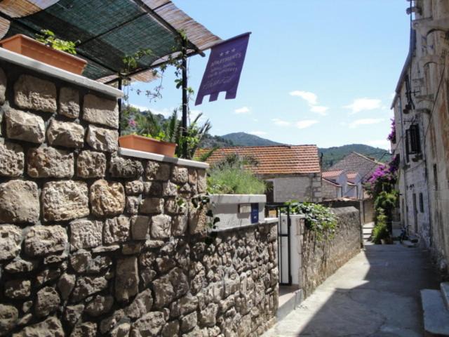 Photo of Others in Hvar Old Town