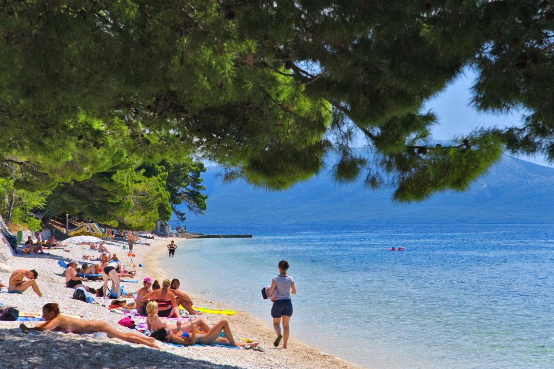 Photo of Others in Gradac
