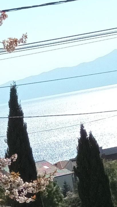 Photo of Others in Sodici