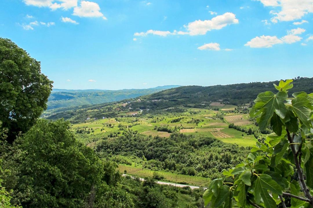 Photo of Others in Jakomici