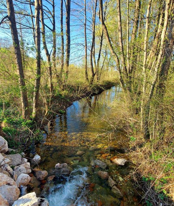 Photo of Others in Trnovac