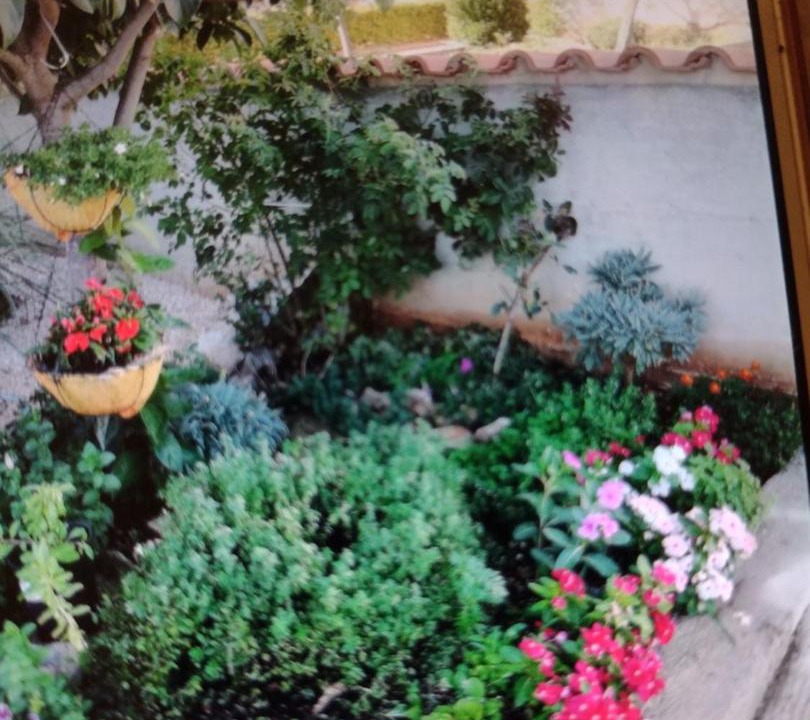 Photo of Others in Gradina