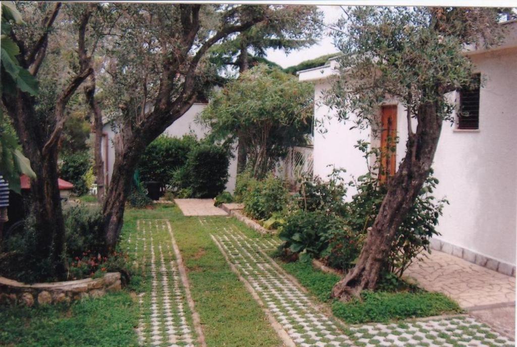 Photo of Others in Cres