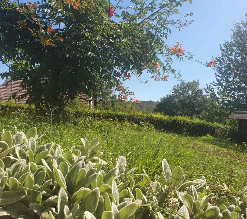 Photo of Others in Mukinje