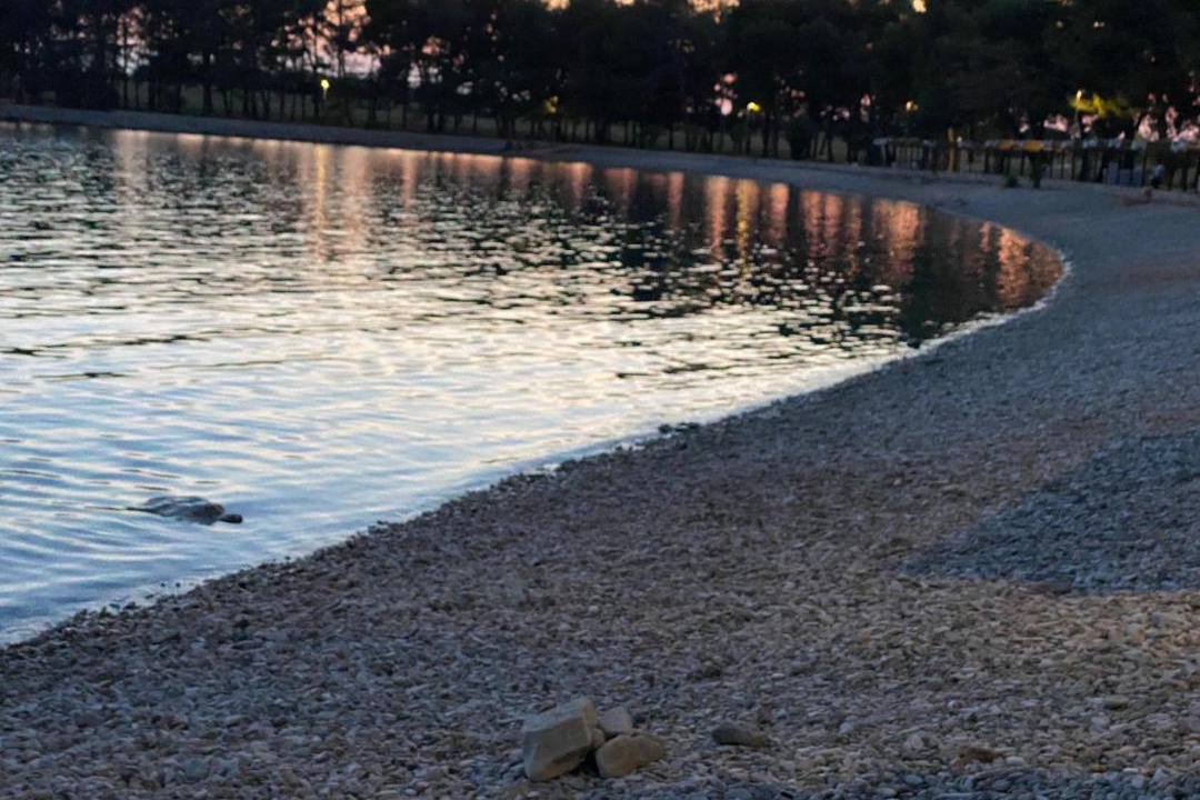 Photo of Others in Novigrad