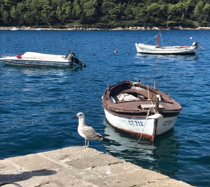 Photo of Others in Cavtat Old Town