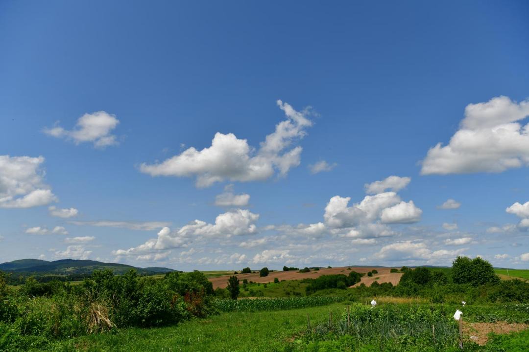 Photo of Others in Irinovac