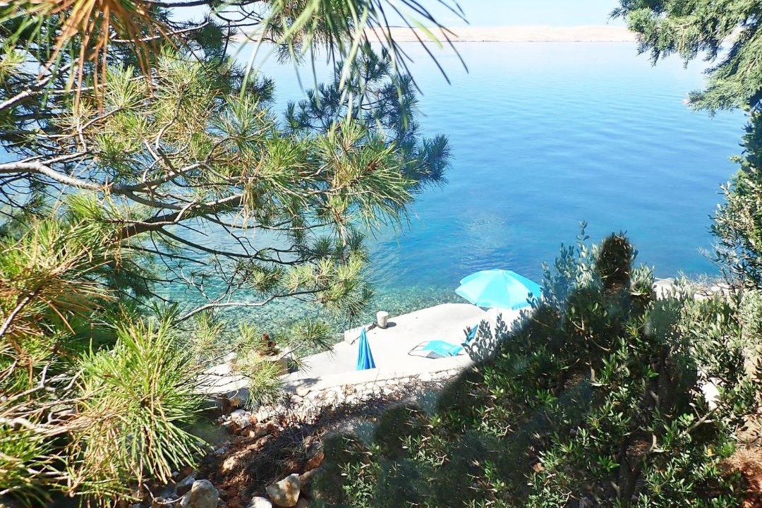 Photo of Others in Baric Draga