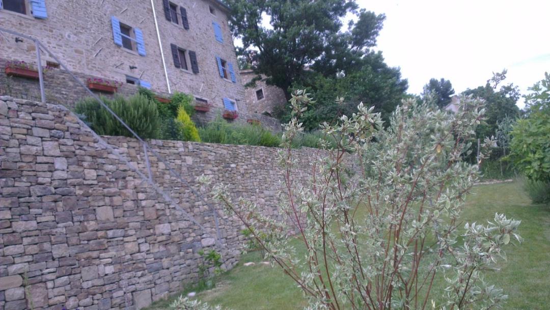 Photo of Others in Motovun