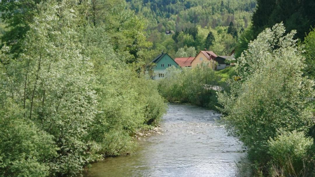 Photo of Others in Zamost