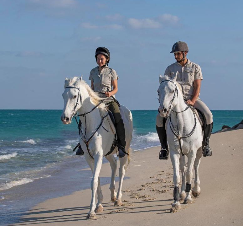 Photo of Others in Sir Bani Yas Island