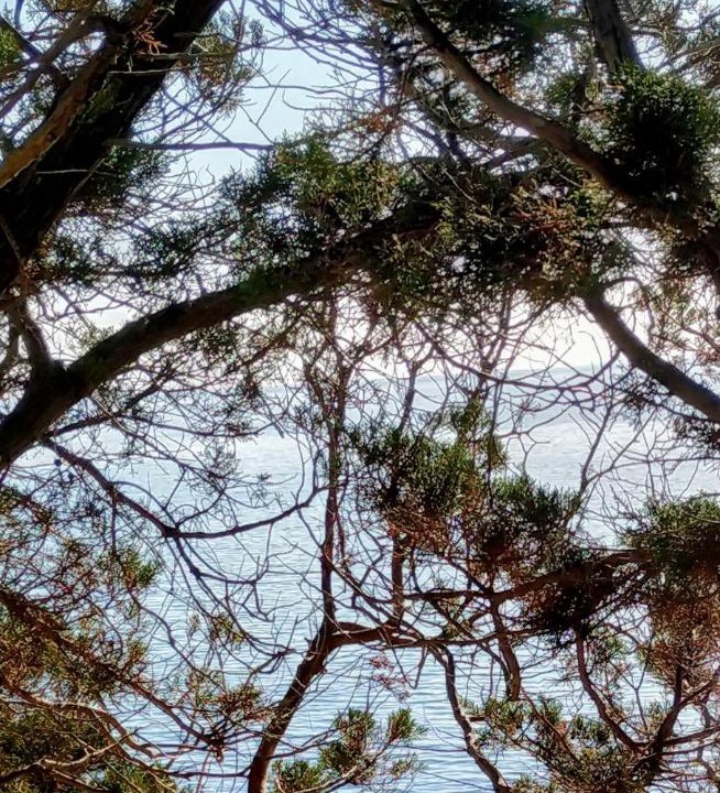 Photo of Others in Vela Luka