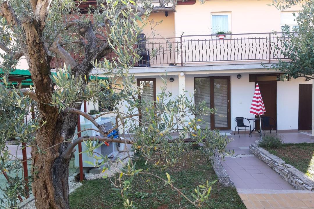 Photo of Others in Novigrad