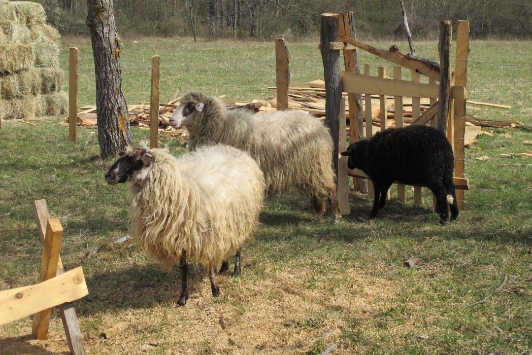 Photo of Others in Plitvica Selo