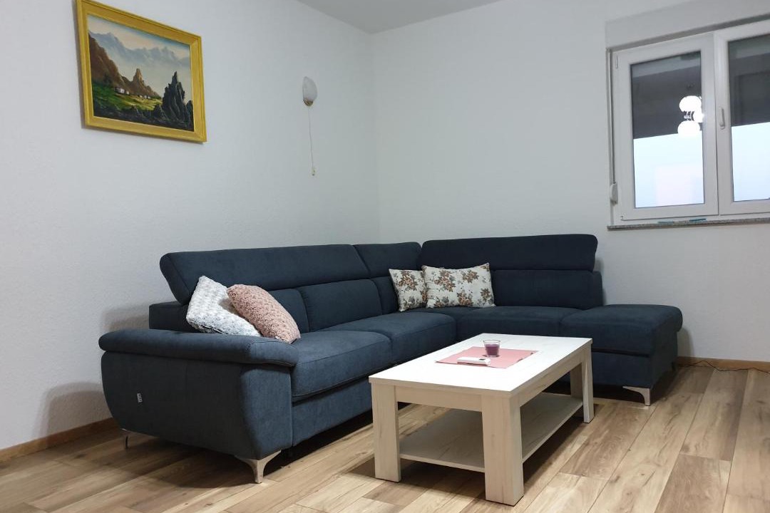 Photo of Livingroom in Vlasici