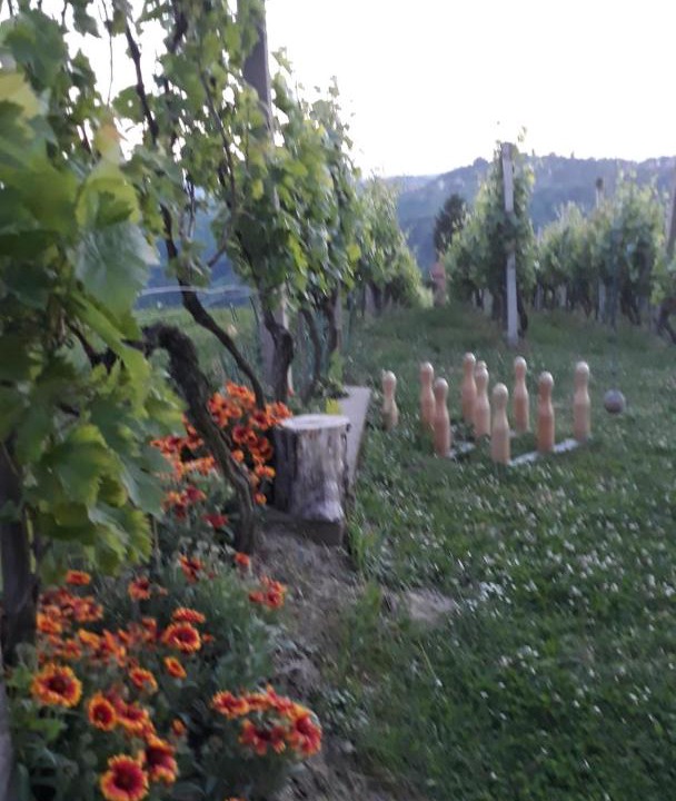 Photo of Others in Sveti Martin na Muri