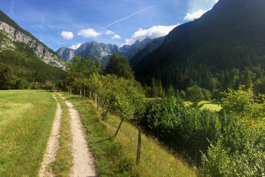 Photo of Others in Bovec
