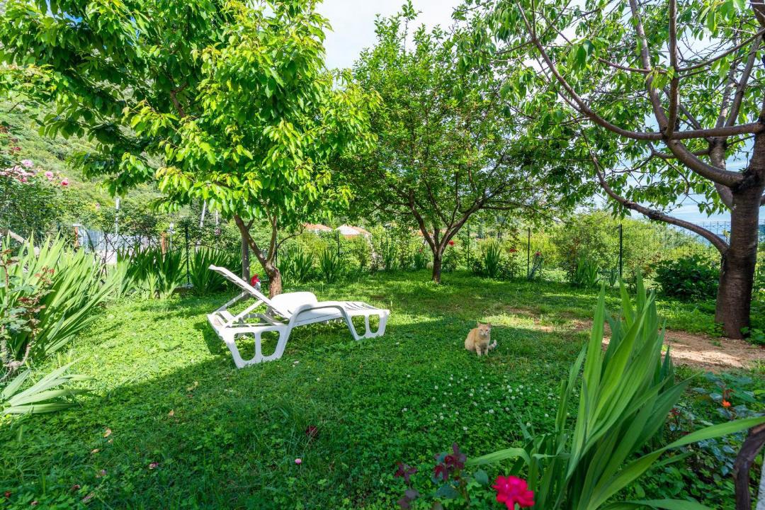 Photo of Others in Zaton