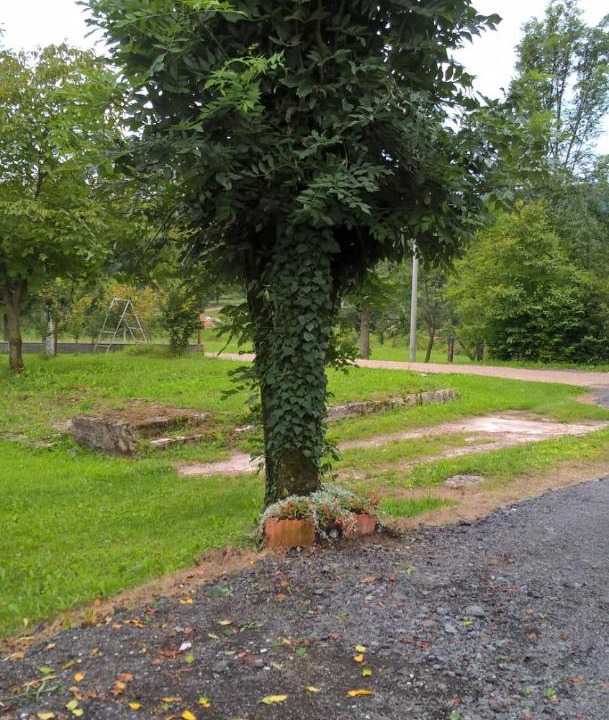 Photo of Others in Ostarski Stanovi