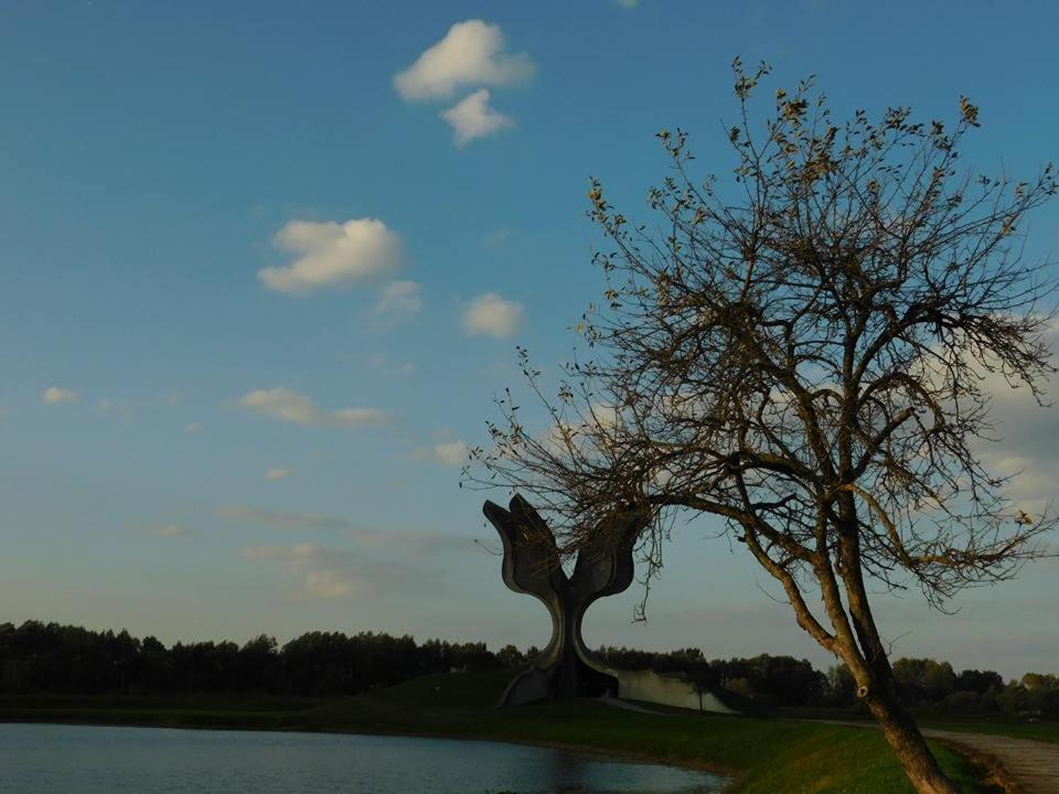 Photo of Others in Jasenovac