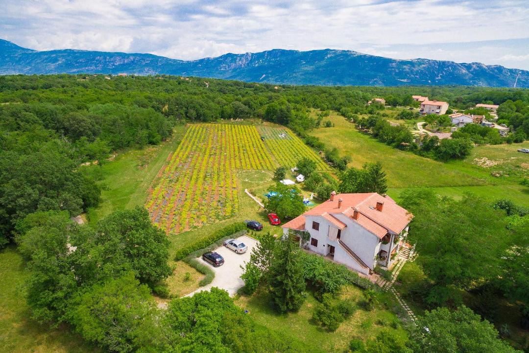 Photo of Others in Sveta Nedelja