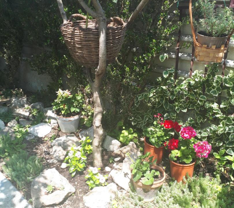 Photo of Others in Kastel Stari