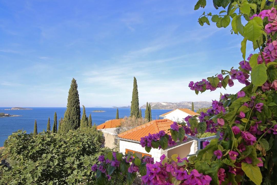 Photo of Others in Cavtat