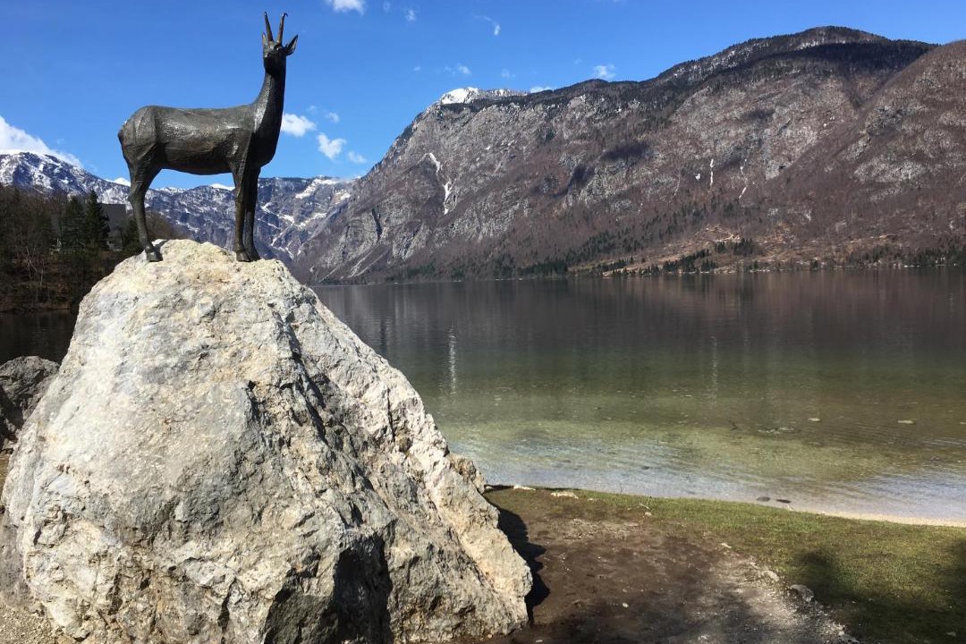 Photo of Others in Bohinjska Bistrica